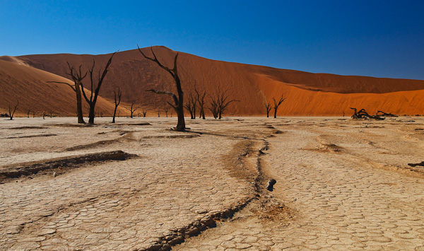 Dead Vlei, Sossusvlei, Namibia Dead Vlei, Sossusvlei, Namibia